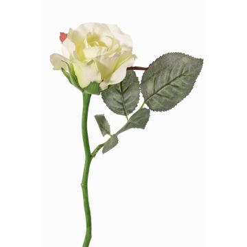 Konstgjord ros ELLI, krämvit, 30cm, Ø6,5cm Konstgjord ros ELLI, krämvit, 30cm, Ø6,5cm