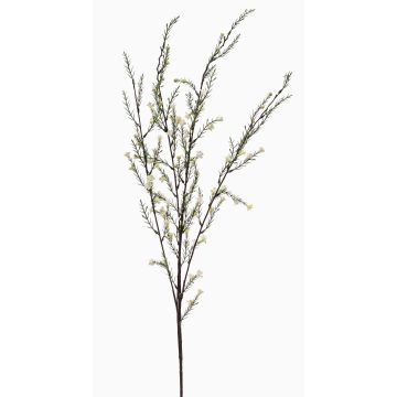 Konstgjord rosmarinkvist HARBARD med blommor, krämfärgad, 115cm Konstgjord rosmarinkvist HARBARD med blommor, krämfärgad, 115cm