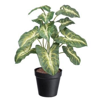 Dekorativ växt Syngonium GLOHEN, dekorativ kruka, grön-gul, 40cm Dekorativ växt Syngonium GLOHEN, dekorativ kruka, grön-gul, 40cm