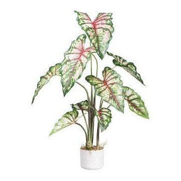 Dekorationsväxt Caladium GRUHON, melamin-överkruka, grön-röd, 100cm Dekorationsväxt Caladium GRUHON, melamin-överkruka, grön-röd, 100cm