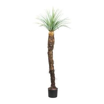 Plastpalm Yucca CLATA, grågrön, 150cm