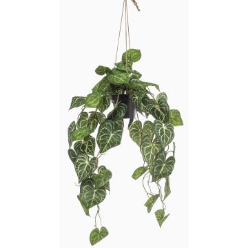 Konstväxt Anthurium hängande blomkruka URCO, dekorativ kruka, grön, 80cm