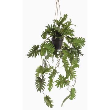 Konstväxt Philodendron Selloum hängande blomkruka URCO, dekorativ kruka, 80cm