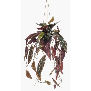 Konstväxt Forellbegonia hängkruka URCO, dekorativ kruka, grön-vit, 80cm