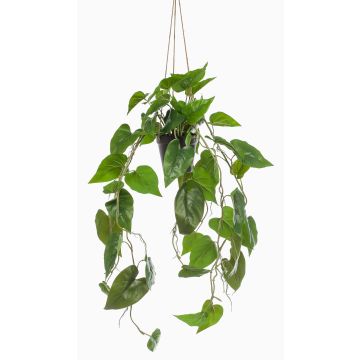 Konstväxt Philodendron Scandens hängande växt URCO, dekorativ kruka, 80cm