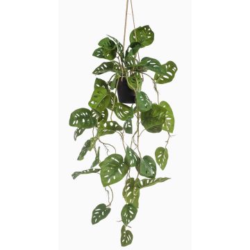 Konstväxt Philodendron Monstera adansonii hängande kruka URCO, dekorativ kruka, 80cm Konstväxt Philodendron Monstera adansonii hängande kruka URCO, dekorativ kruka, 80cm
