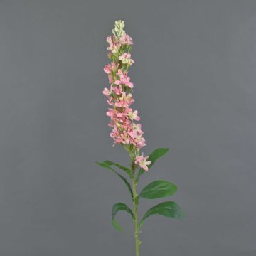 Konstblomma Levkoje DEVICA, rosa, 95cm, Ø8cm Konstblomma Levkoje DEVICA, rosa, 95cm, Ø8cm