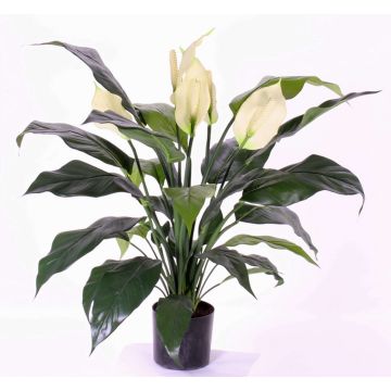 Konstgjord enbladig växt ABBY med blommor, vit, 75cm Konstgjord enbladig växt ABBY med blommor, vit, 75cm
