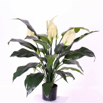 Konstgjord enbladig växt ABBY med blommor, vit, 75cm