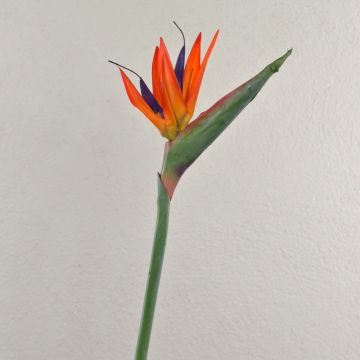 Konstgjord Strelitzia MELIORN, orange-violett, 80cm, 14x19cm
