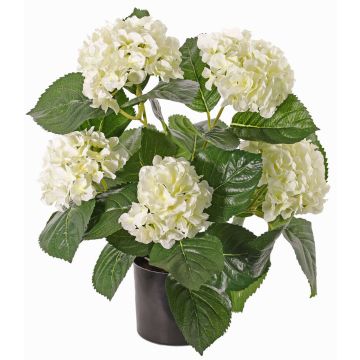 Konstblomma hortensia TEMARI, krämfärgad, 40cm, Ø10-12cm