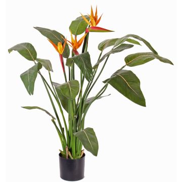 Konstblomma strelitzia DALILA, orange-violett, 110cm, 17x22cm Konstblomma strelitzia DALILA, orange-violett, 110cm, 17x22cm