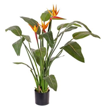 Konstblomma strelitzia DALILA, orange-violett, 110cm, 17x22cm Konstblomma strelitzia DALILA, orange-violett, 110cm, 17x22cm