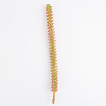 Konstgjord Crassula Perforata MAZUR på stickpinne, orange, 30cm, Ø2cm Konstgjord Crassula Perforata MAZUR på stickpinne, orange, 30cm, Ø2cm