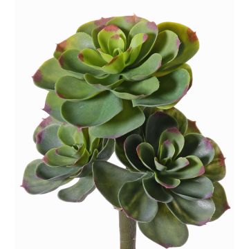 Plast Echeveria pelusida NADIA på stickpinne, grön-röd, 30cm, Ø20cm Plast Echeveria pelusida NADIA på stickpinne, grön-röd, 30cm, Ø20cm
