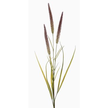 Dekorativ rävsvansgren TALOR med blomklasar, brun-grön, 85cm Dekorativ rävsvansgren TALOR med blomklasar, brun-grön, 85cm