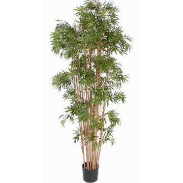 Konstgjord bambu NARO, äkta stammar, 150cm Konstgjord bambu NARO, äkta stammar, 150cm
