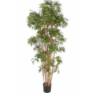 Konstgjord bambu NARO, äkta stammar, 150cm