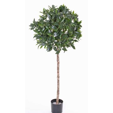 Konstgjord körsbärslorberkula ALEXIOS, äkta stam, frukter, 175cm, Ø55cm