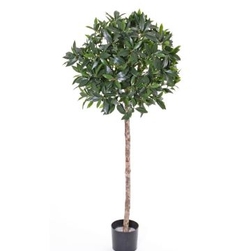 Konstgjord körsbärslorberkula ALEXIOS, äkta stam, frukter, 175cm, Ø55cm