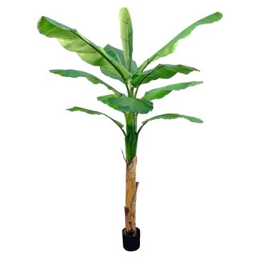 Konstgjord bananträd SCHWANA, 210cm Konstgjord bananträd SCHWANA, 210cm