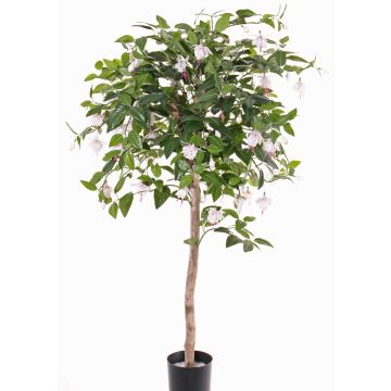 Konstgjord fuchsia-träd MINERVA, äkta stam, med blommor, blekrosa, 90cm Konstgjord fuchsia-träd MINERVA, äkta stam, med blommor, blekrosa, 90cm