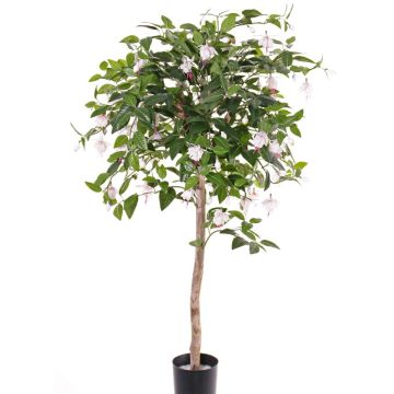 Konstgjord fuchsia-träd MINERVA, äkta stam, med blommor, blekrosa, 90cm Konstgjord fuchsia-träd MINERVA, äkta stam, med blommor, blekrosa, 90cm