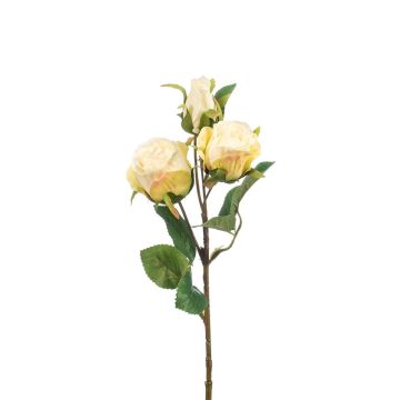 Konstgjord rosgren FREYDE, krämfärgad, 45cm, Ø4-5cm Konstgjord rosgren FREYDE, krämfärgad, 45cm, Ø4-5cm