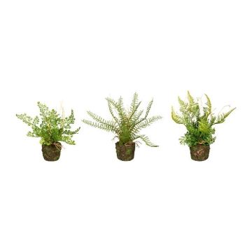 Konstgjord ormbunke-mix FUNGAR, damhårsormbunk, svärdormbunk, sköldormbunk, 3 stycken, jordklump, grön, 22cm, Ø25cm Konstgjord ormbunke-mix FUNGAR, damhårsormbunk, svärdormbunk, sköldormbunk, 3 stycken, jordklump, grön, 22cm, Ø25cm