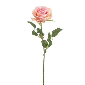 Konstgjord ros BRUNETTE, rosa-krämfärgad, 70cm, Ø11cm Konstgjord ros BRUNETTE, rosa-krämfärgad, 70cm, Ø11cm