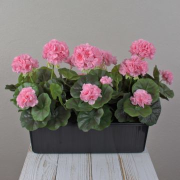 Konstgjorda pelargoner FLOREANA i blomlåda, 3 stycken, ljusrosa, 40x15x35cm Konstgjorda pelargoner FLOREANA i blomlåda, 3 stycken, ljusrosa, 40x15x35cm