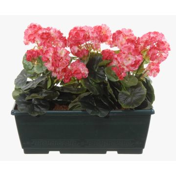 Konstgjorda pelargoner FLOREANA i blomlåda, 3 st, mörkrosa, 40x15x35cm
