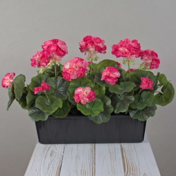 Konstgjorda pelargoner FLOREANA i blomlåda, 3 st, mörkrosa, 40x15x35cm Konstgjorda pelargoner FLOREANA i blomlåda, 3 st, mörkrosa, 40x15x35cm
