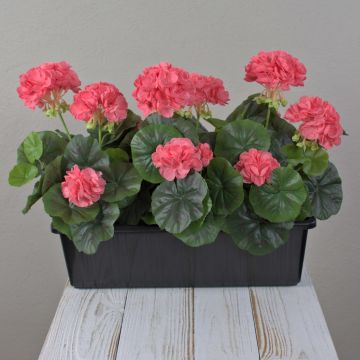 Konstgjorda pelargoner FLOREANA i blomlåda, 3 st, laxrosa, 40x15x35cm Konstgjorda pelargoner FLOREANA i blomlåda, 3 st, laxrosa, 40x15x35cm