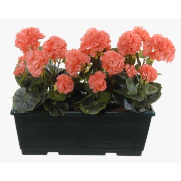 Konstgjorda pelargoner FLOREANA i blomlåda, 3 st, laxrosa, 40x15x35cm