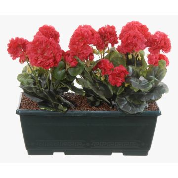 Konstgjorda pelargoner FLOREANA i blomlåda, 3 st, cerise, 40x15x35cm