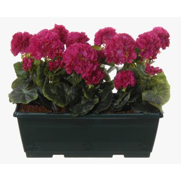 Konstgjorda pelargoner FLOREANA i blomlåda, 3 st, vinröd, 40x15x35cm