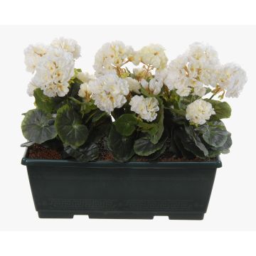 Konstgjorda pelargoner FLOREANA i blomlåda, 3 st, vita, 40x15x35cm