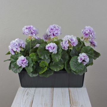 Konstgjorda pelargoner FLOREANA i blomlåda, 3 st, lila-vit, 40x15x35cm Konstgjorda pelargoner FLOREANA i blomlåda, 3 st, lila-vit, 40x15x35cm