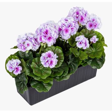 Konstgjorda pelargoner FLOREANA i blomlåda, 3 st, lila-vit, 40x15x35cm Konstgjorda pelargoner FLOREANA i blomlåda, 3 st, lila-vit, 40x15x35cm