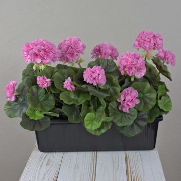 Konstgjorda pelargoner FLOREANA i blomlåda, 3 st, lila, 40x15x35cm Konstgjorda pelargoner FLOREANA i blomlåda, 3 st, lila, 40x15x35cm