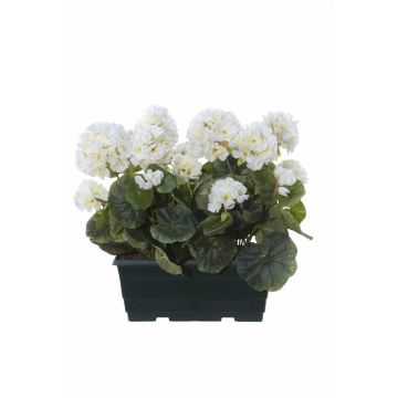 Konstgjorda pelargoner FLOREANA i blomlåda, 2 st, vita, 24x11x35cm Konstgjorda pelargoner FLOREANA i blomlåda, 2 st, vita, 24x11x35cm