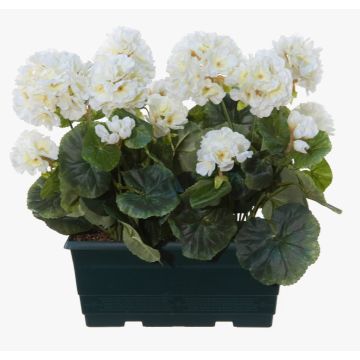 Konstgjorda pelargoner FLOREANA i blomlåda, 2 st, vita, 24x11x35cm