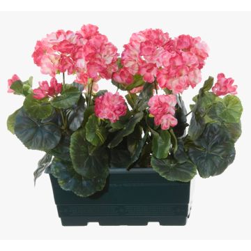 Konstgjorda pelargoner FLOREANA i blomlåda, 2 st, mörkrosa, 24x11x35cm Konstgjorda pelargoner FLOREANA i blomlåda, 2 st, mörkrosa, 24x11x35cm