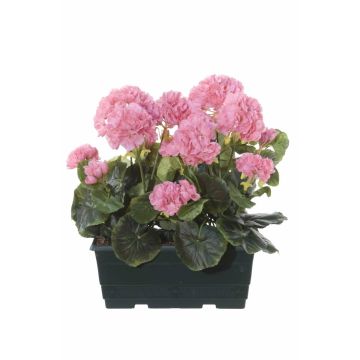 Konstgjorda pelargoner FLOREANA i blomlåda, 2 st, ljusrosa, 24x11x35cm Konstgjorda pelargoner FLOREANA i blomlåda, 2 st, ljusrosa, 24x11x35cm
