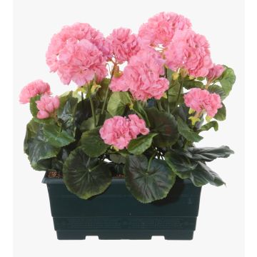 Konstgjorda pelargoner FLOREANA i blomlåda, 2 st, ljusrosa, 24x11x35cm Konstgjorda pelargoner FLOREANA i blomlåda, 2 st, ljusrosa, 24x11x35cm