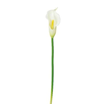 Plastblomma Calla PERKAN, vit, 35cm Plastblomma Calla PERKAN, vit, 35cm