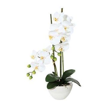 Textil Phalaenopsis-orkidé DINKA i keramikskål, rötter, vit, 50cm