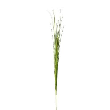 Dekorativ kvist av kärrbin VORLO, grön, 85cm