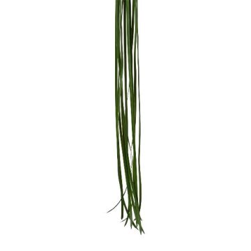 Konstgjort sjögräs ZALME, 12 strån, grönt, 120cm